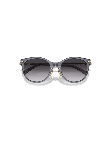 TIFFANY - TF4223D - 84053C - 54