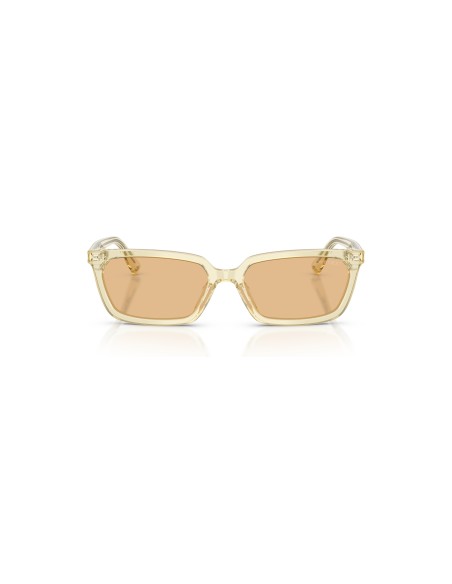 Jimmy Choo -  - 0JC5050U - 5083/8 - 55