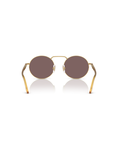 Occhiali sole PERSOL - Base 2.5 - PO1019S - 112953 - 53