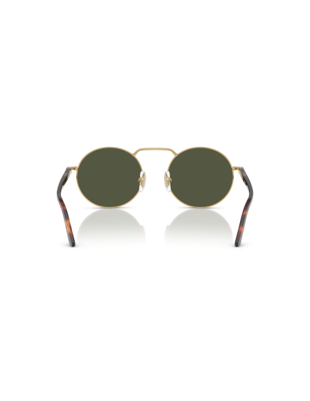 Occhiali sole PERSOL - Base 2.5 - PO1019S - 515/31 - 53