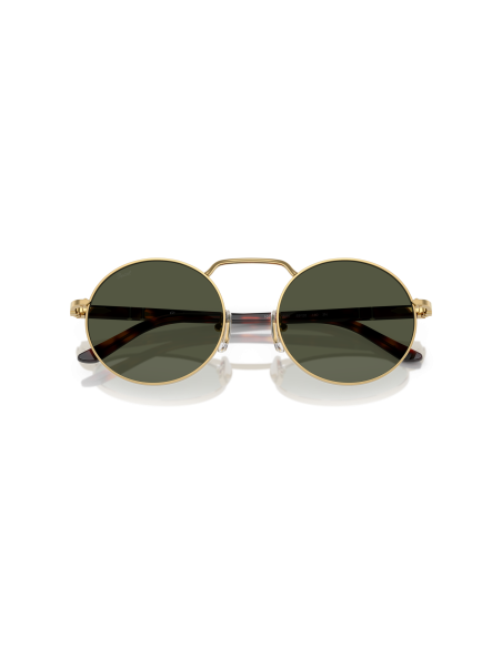 Occhiali sole PERSOL - Base 2.5 - PO1019S - 515/31 - 53