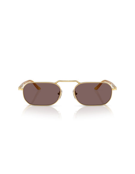 Occhiali sole PERSOL - Base 2.5 - PO1020S - 112953 - 57