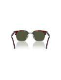 24/31