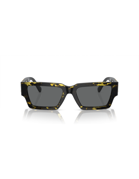 Occhiali sole VERSACE - VE4459 - 542887 - 54