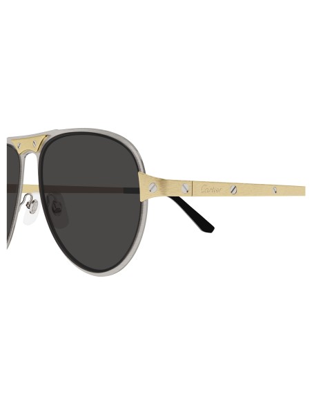 Occhiali sole Cartier - CT0533S - 001 - 58