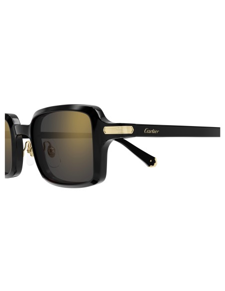 Occhiali sole Cartier - CT0539S - 001 - 49
