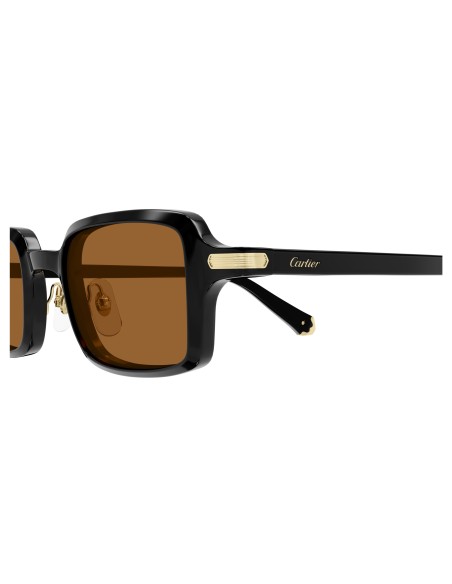 Occhiali sole Cartier - CT0539S - 003 - 49