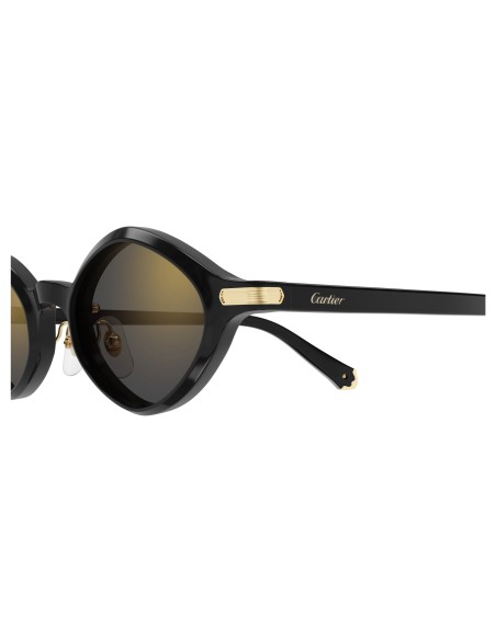 Occhiali sole Cartier - CT0540S - 001 - 48