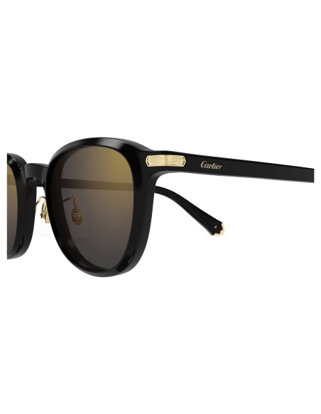 Occhiali sole Cartier - CT0541SA - 005 - 53